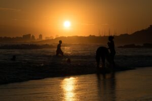 Onde ficar em Punta del Este: guia das melhores regiões Onde ficar em Punta del Este: guia das melhores regiões