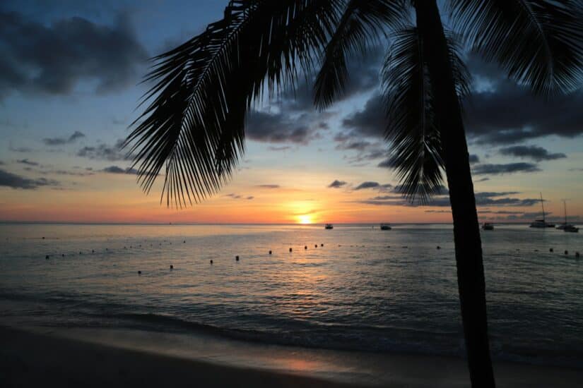onde ficar em Barbados na Costa Oeste na praia de St James e em Holetown Silhueta de palmeira ao pôr do sol na praia de St. James no Caribe com barcos em águas calmas e céu nublado.