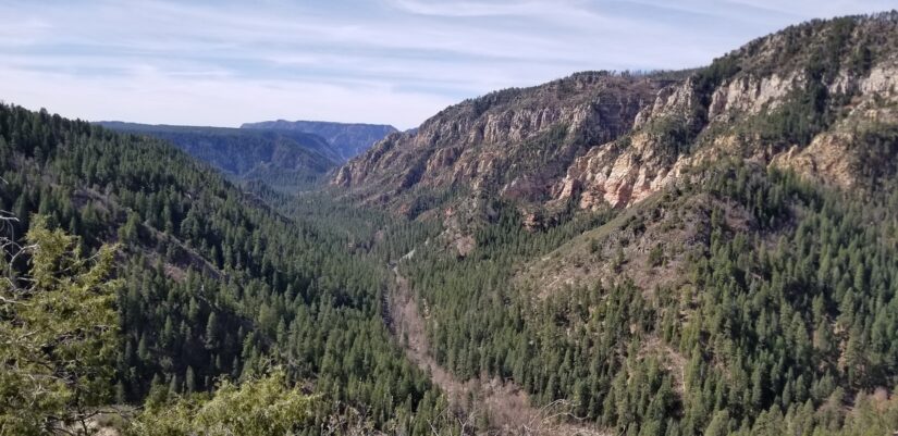 onde ficar no Grand Canyon em Flagstaff Um cânion arborizado com penhascos rochosos íngremes e pinheiros - um local inspirador para buscar hotel em Flagstaff no Arizona.