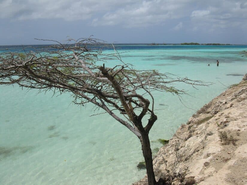 Onde ficar em Aruba: dicas para encontrar o lugar perfeito