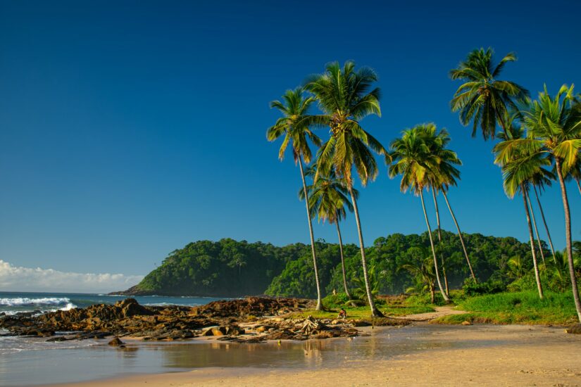 onde ficar em Itacaré na Praia da Tiririca ou em Resende na Bahia Palmeiras altas em uma praia de areia em Itacaré, ideal para quem procura hotéis na Praia da Tiririca na Bahia à beira do mar azul claro.