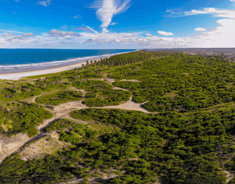 Onde ficar na Praia do Francês: melhores hotéis e regiões