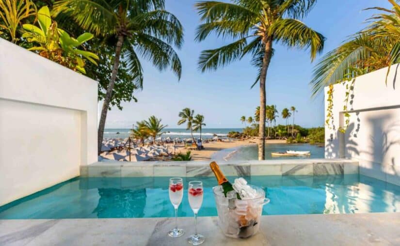 Uma piscina com uma garrafa de champanhe e gelo dentro.