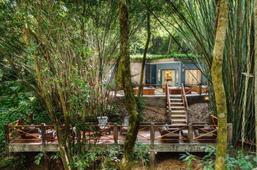 Casa moderna com amplo deck cercado por árvores verdes densas e bambu em um cenário de floresta exuberante.