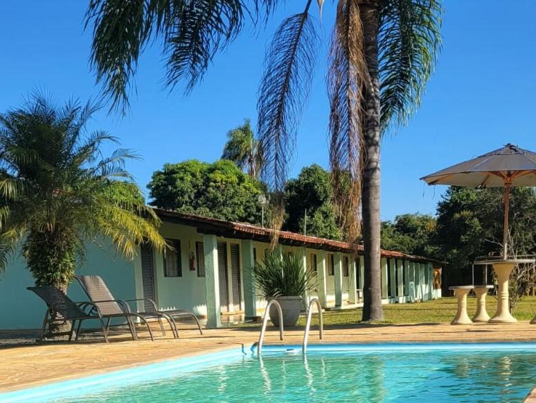 Piscina externa com espreguiçadeiras e palmeiras em frente a uma fileira de quartos de motel verdes sob um céu azul claro.