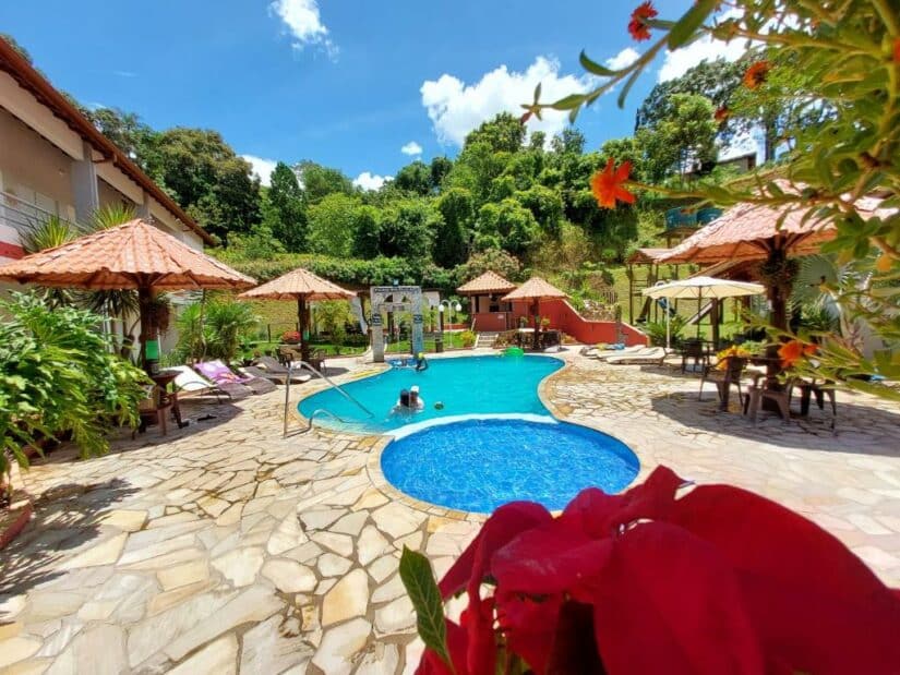 Uma área ensolarada da piscina com guarda-sóis, espreguiçadeiras e vegetação exuberante; flores em primeiro plano.