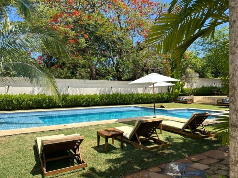 Três espreguiçadeiras e um guarda-sol à beira de uma piscina em um quintal ensolarado e tropical com árvores e vegetação onde ficar em Rifaina.