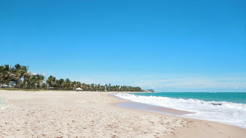 Praia de areia com palmeiras, ondas azul-turquesa do oceano e um céu azul claro em um dia ensolarado onde ficar na Praia do Forte.