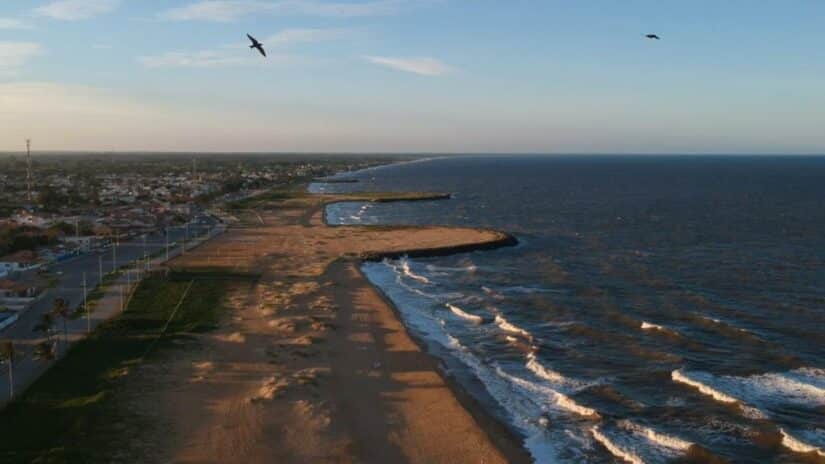 Vista aérea de uma praia de areia com ondas suaves, uma cidade litorânea e pássaros voando no céu.