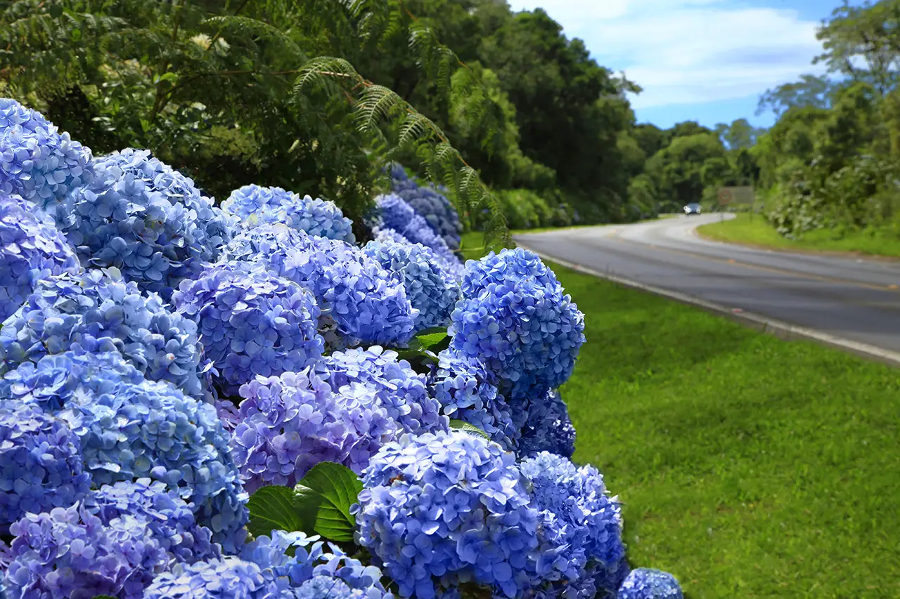 como ir de porto alegre para gramado Como chegar em Gramado de carro