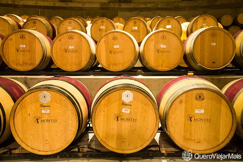 Onde comprar vinhos em Santiago Vinhos chilenos bons e baratos