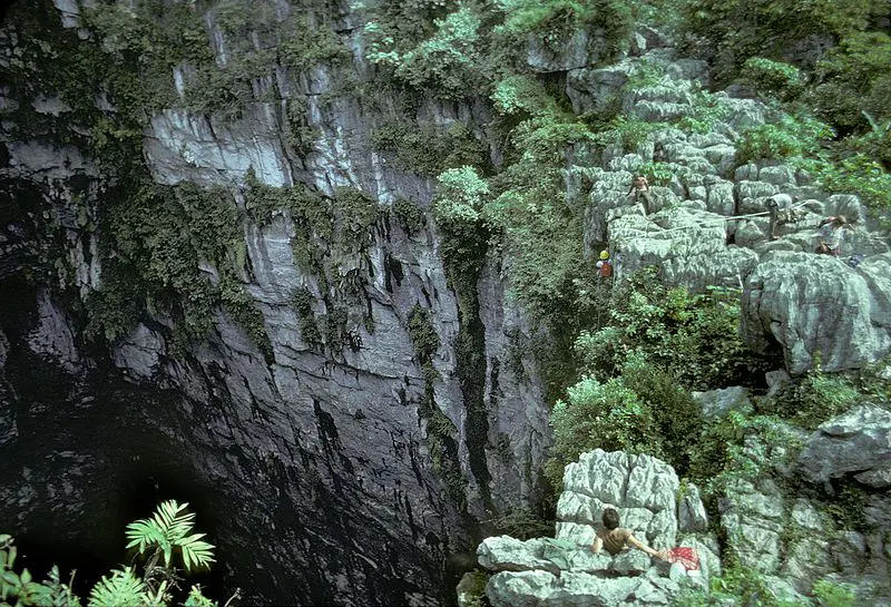 Passeios em Huasteca Potosina El Sotano de las Golondrinas